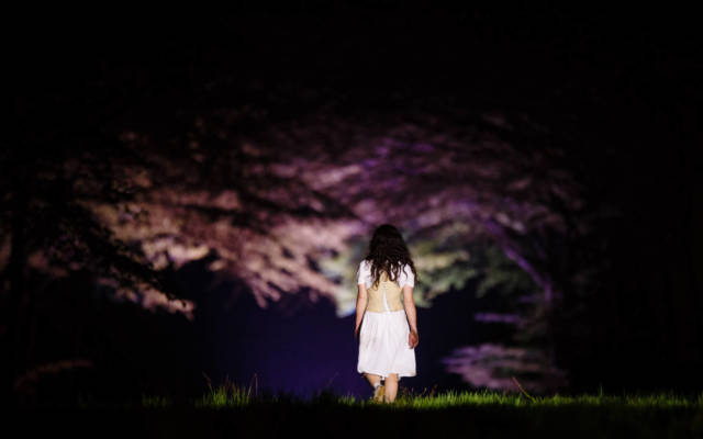 Photo from NNF15 show Wolf's Child, a woman walks away from the camera into a dark space, trees are on either side of her.