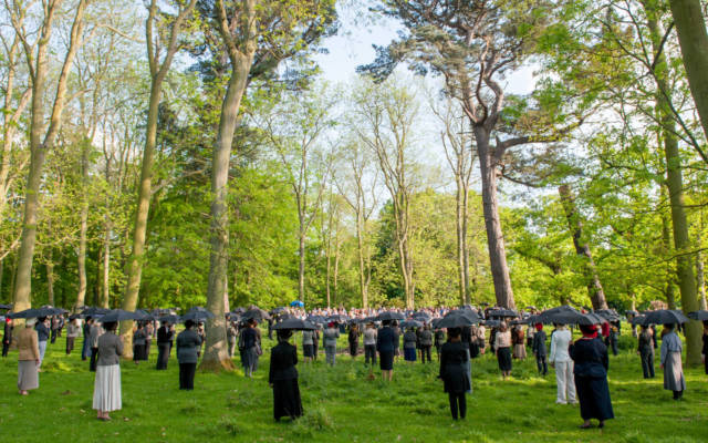 Photo from NNF14 show Souvenir, approx 40 members of the voice project choir stand in a woodland area, each holding a black umbrella.