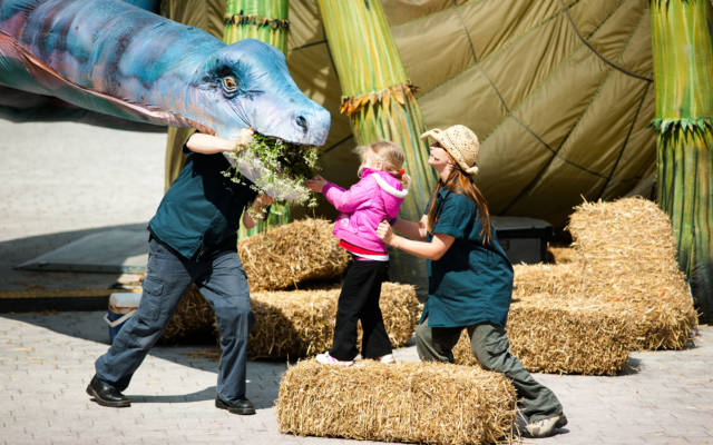 Photo from NNF12 show Dinosaur Petting Zoo, a little girl stands on a straw bale, feeding a huge dinosaur puppet some flowers.