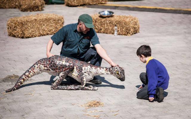 Photo from NNF12 show Dinosaur Petting Zoo, a little boy kneels down, looking at a small dinosaur puppet.