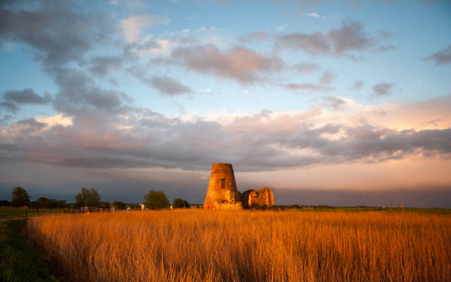 Photo from NNF13 show Ideas of Flight, St Benets Abbey in Norfolk, a field of golden reeds surround the abbey. The sky is blue, with some clouds, the sun is setting.